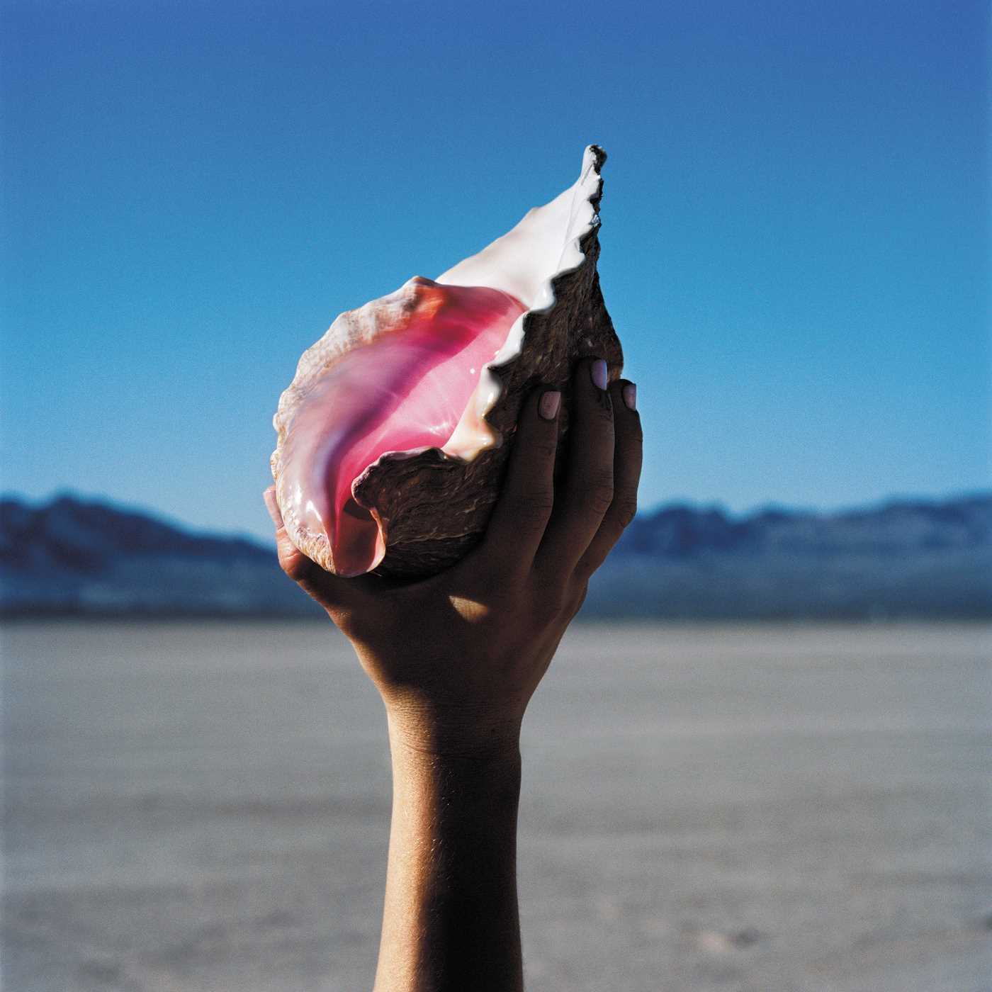 The Killers - Wonderful Wonderful CD