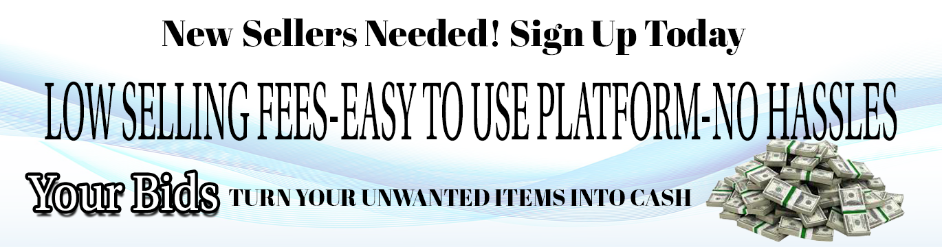 Live Auction Outlet promo