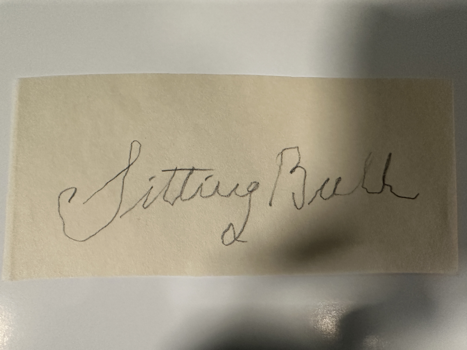 Sitting Bull Cut AUTOGRAPH