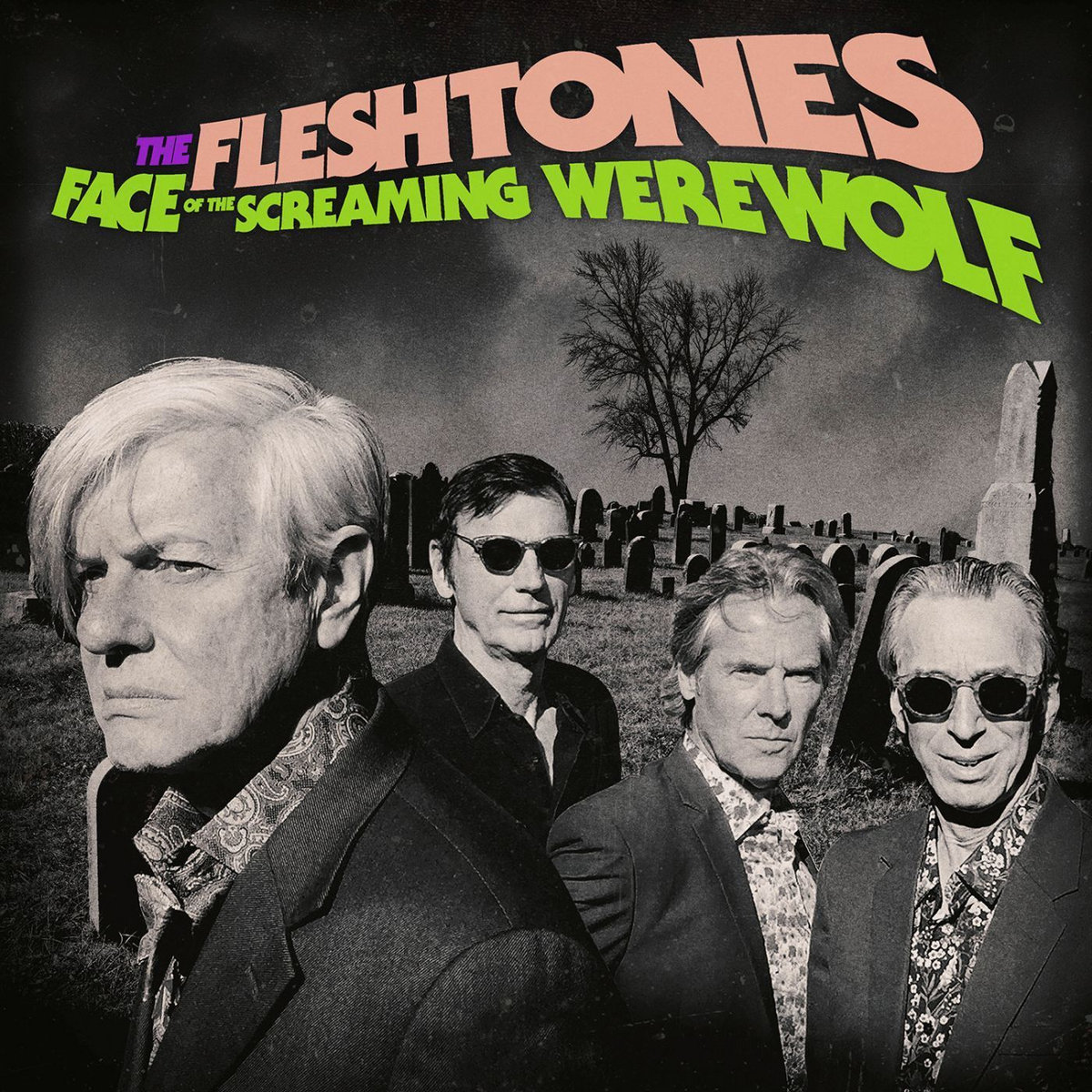 The Fleshtones - Face of the Screaming Werewolf CD