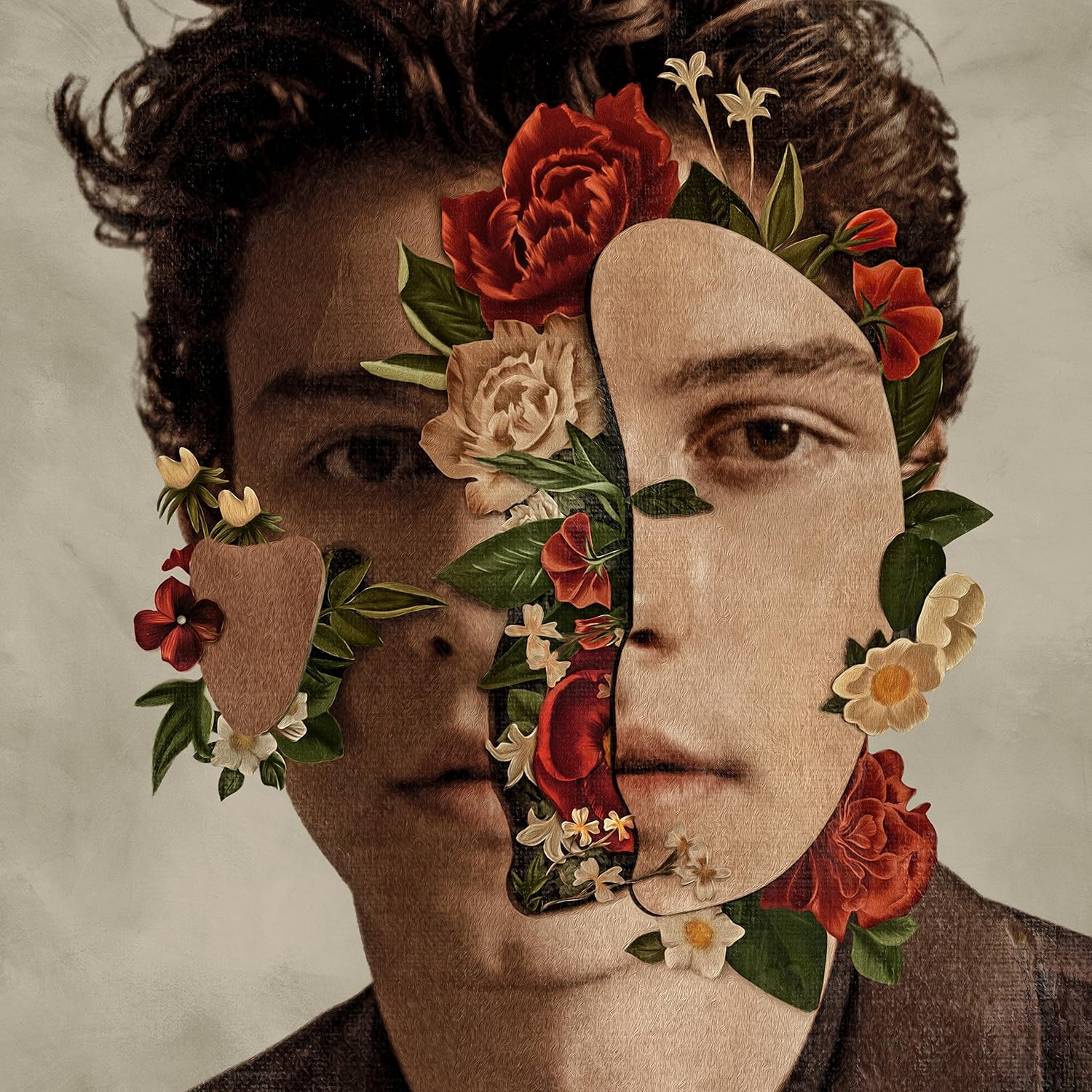 Shawn Mendes CD
