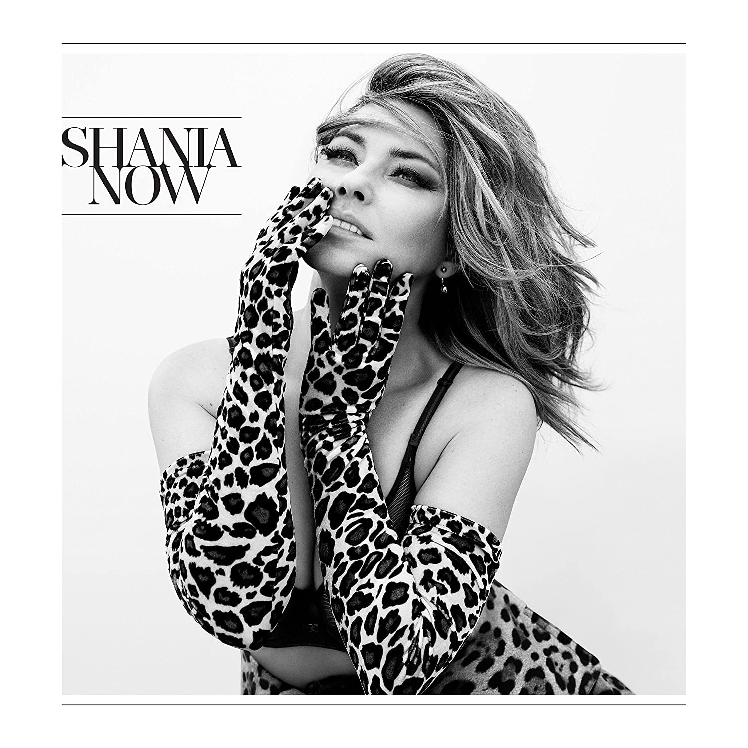 Shania Twain - Shania Now CD